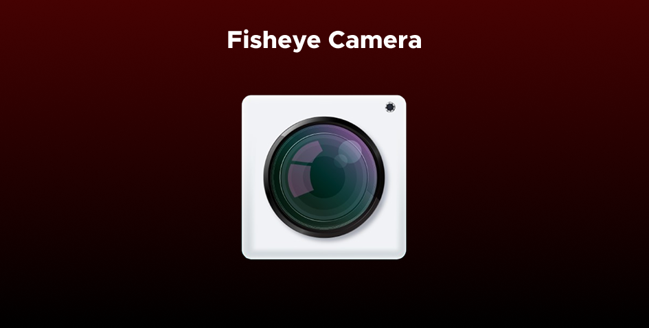 Fisheye Camera